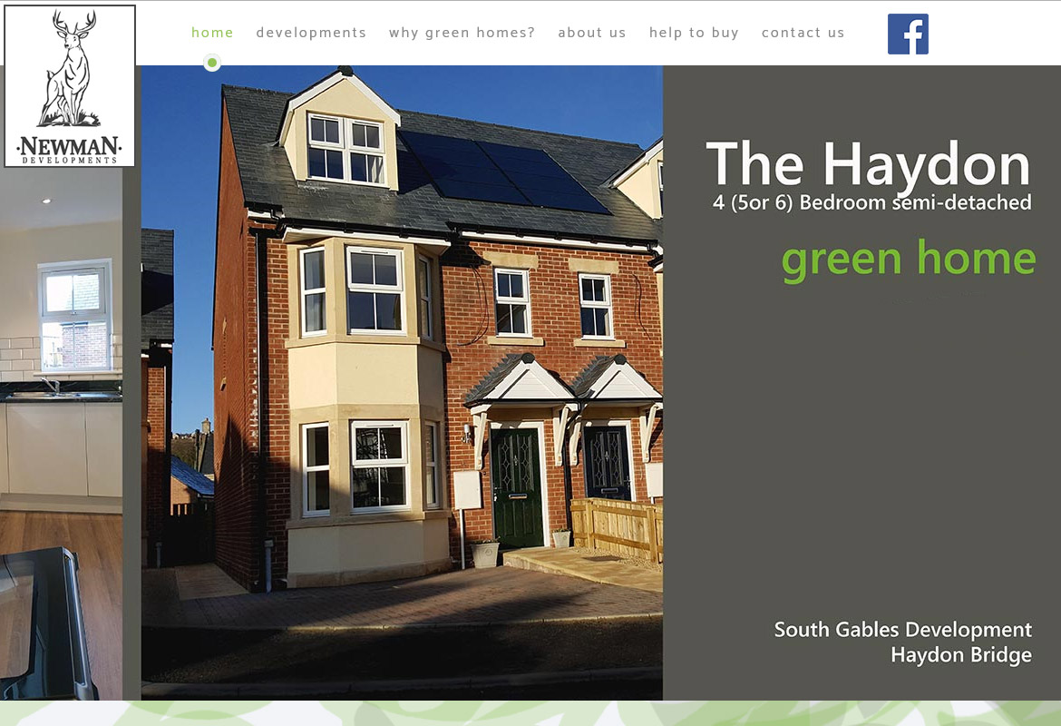 Newman Developments